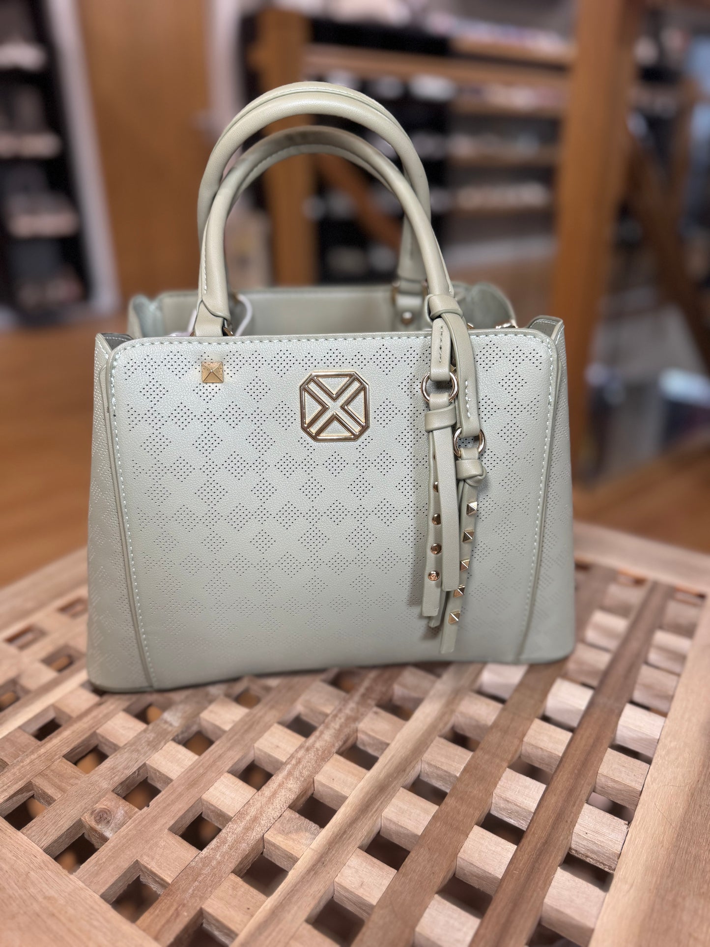 XTI Khaki Bag
