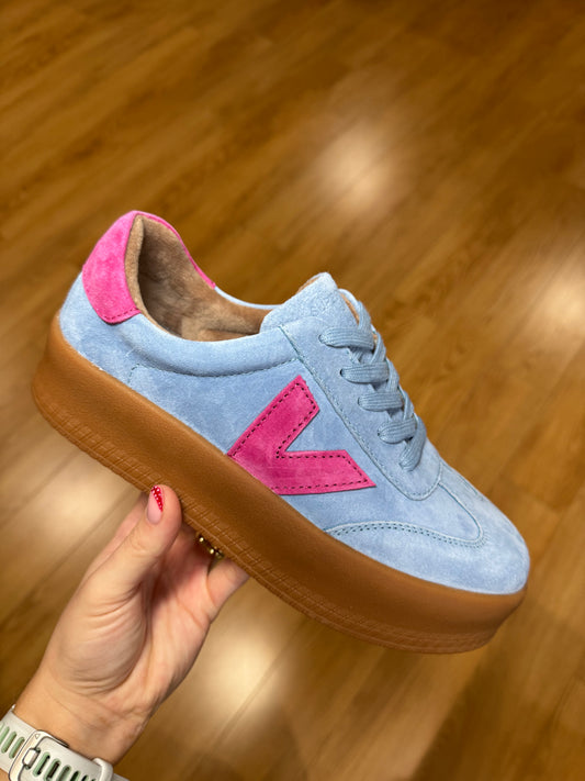 Drilleys Eighty Four Blue Bell Trainer